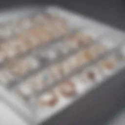 Elegant clear jewelry bag showcasing a collection of bracelets and necklaces.