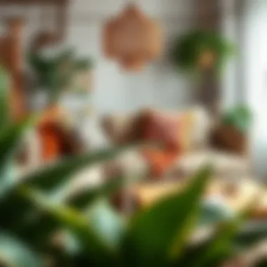 Cozy living space featuring boho couch cushions and plants
