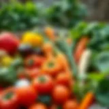 Fresh Veggie Medley for Grilling A vibrant assortment of freshly picked vegetables ready for grilling