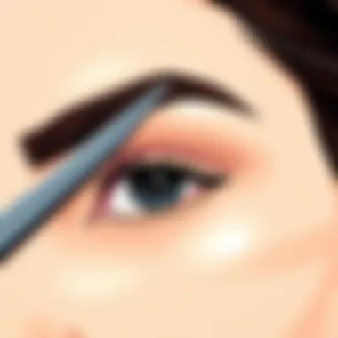 Flawlessly Shaped Eyebrow Using Curved Scissors A well-groomed eyebrow demonstrating the results of using scissors