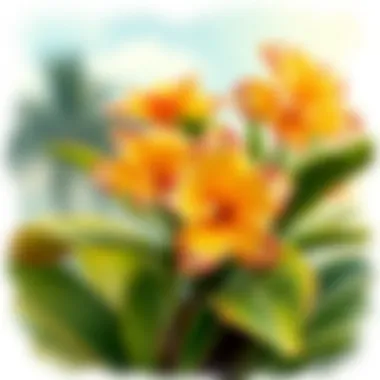 Sustainable Sourcing: Nature and Fashion Unite Eco-friendly production of Hawaiian flower clips in nature