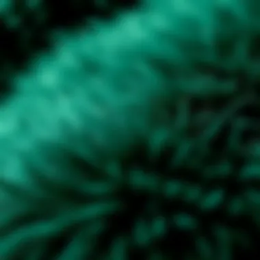 Close-up of the soft texture of an emerald green fur rug