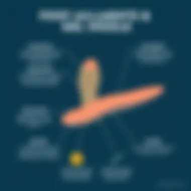 Chart highlighting common foot ailments alleviated by gel insoles