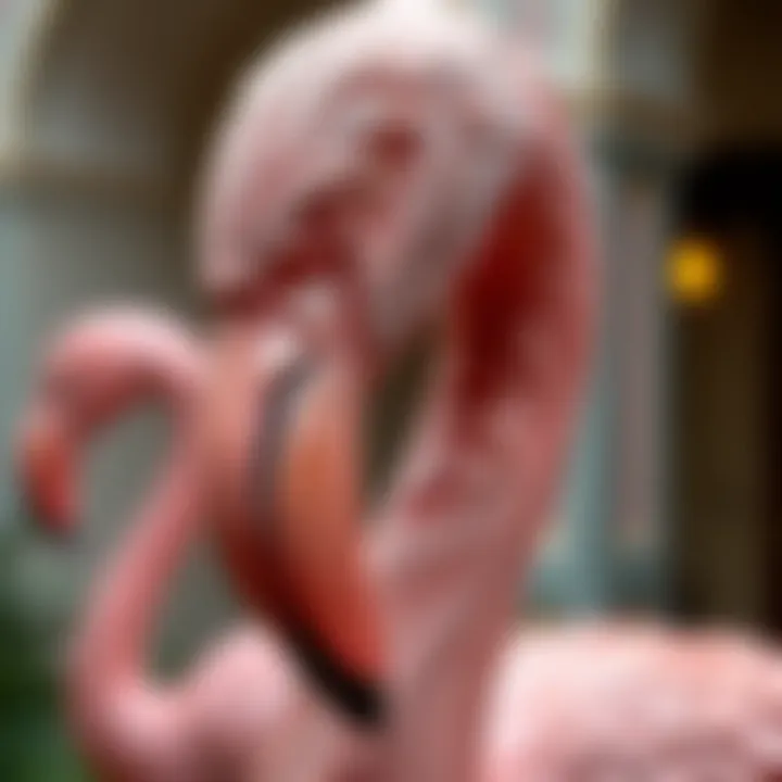 Details of Craftsmanship in Flamingo Statues Close-up of intricate details on a flamingo statue