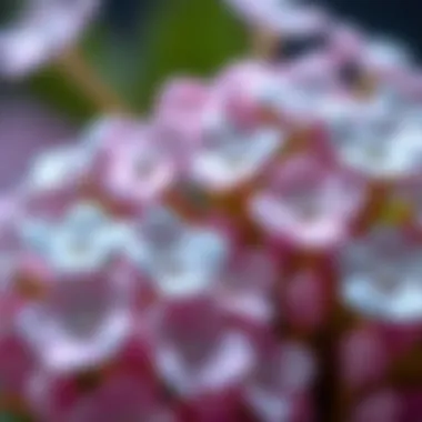 Exquisite Craftsmanship of Artificial Forget-Me-Not Petals Close-up view of exquisite artificial forget-me-not petals showcasing their detailed craftsmanship