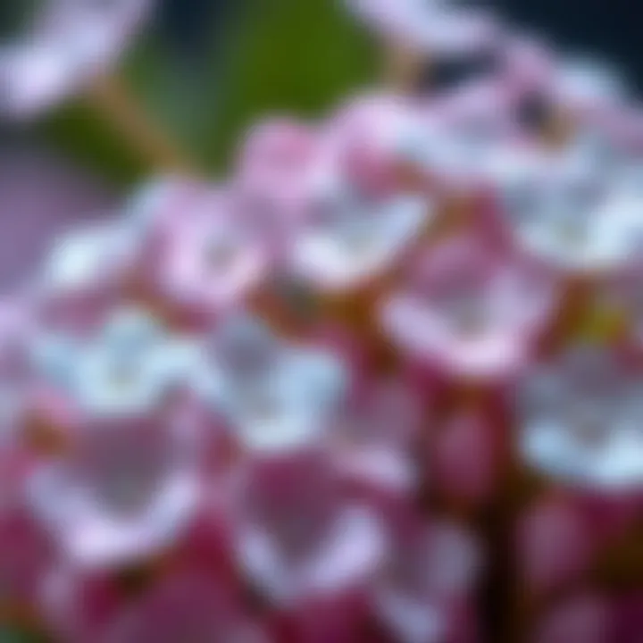 Exquisite Craftsmanship of Artificial Forget-Me-Not Petals Close-up view of exquisite artificial forget-me-not petals showcasing their detailed craftsmanship