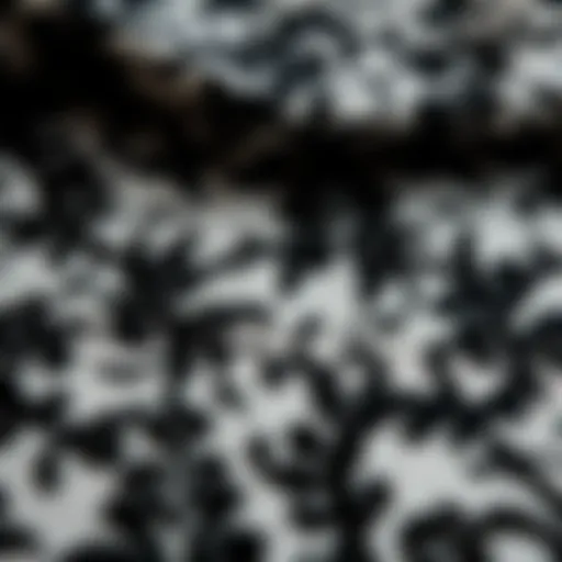 Gothic Patterns in Halloween Lace Fabric Intricate Halloween lace fabric designs showcasing gothic patterns and motifs