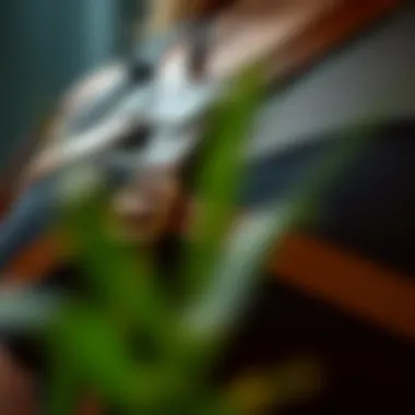 Artisan Craftsmanship in Plus Size Leather Harnesses Close-up of a handcrafted plus size leather harness showcasing intricate detailing