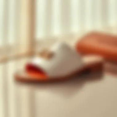 Elegant Hermes Slide Sandals Elegant Hermes slide sandals displayed on a luxurious surface