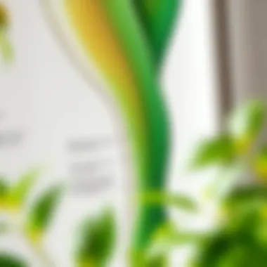 Maintaining Your Green Body Stocking Care instructions for maintaining eco-friendly garments