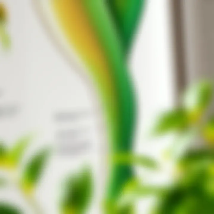 Maintaining Your Green Body Stocking Care instructions for maintaining eco-friendly garments