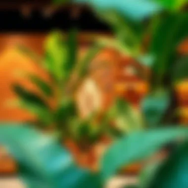 Boutique Display Featuring Artificial Banana Leaves Vibrant display of artificial banana leaves enhancing a boutique setting