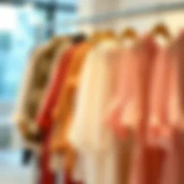 Versatile Styling of Chiffon Tunic Blouses Diverse styling options for chiffon tunic blouses displayed on a rack