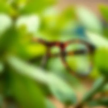 Sustainable Choices in Fashion Eyewear Sustainable materials used in fashion eyewear