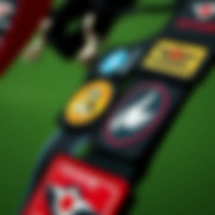 Personalized Patches on Nylon Lanyards Close-up of personalized patches on a nylon phone lanyard