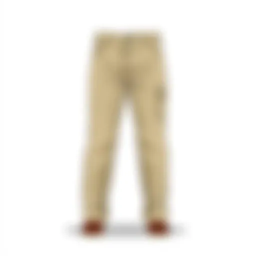 Stylish Khaki Pants for Fashion Enthusiasts A stylish pair of khaki pants displayed on a clean background