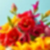 A Vibrant Display of Hawaiian Floral Elegance Vibrant assortment of Hawaiian flower clips elegantly arranged