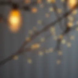 A beautifully arranged branch with twinkling fairy lights