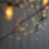 Twinkling Branch Decor A beautifully arranged branch with twinkling fairy lights