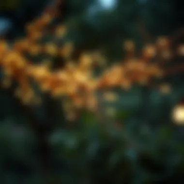 Serene Natural Elegance Branches adorned with fairy lights in a serene natural environment