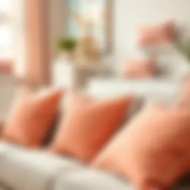 Aesthetic display of peach pillow covers in various interior designs