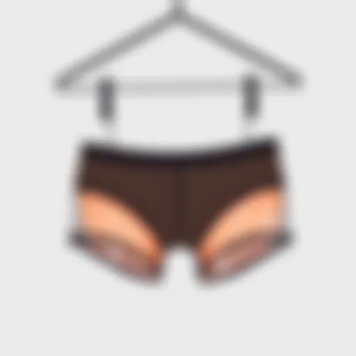 A stylish pair of see-through boyshorts displayed against a minimalist background.
