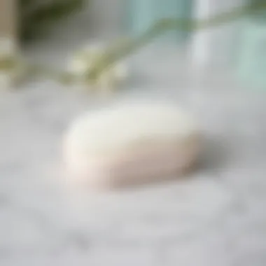 Soft Exfoliating Brush on Marble Surface Close-up of a soft exfoliating brush on a marble surface