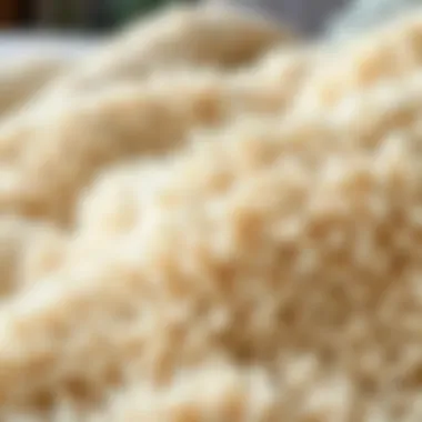 Close-Up of Soft Texture of Shaggy Duvet Cover Close-up of the soft texture of a shaggy duvet cover