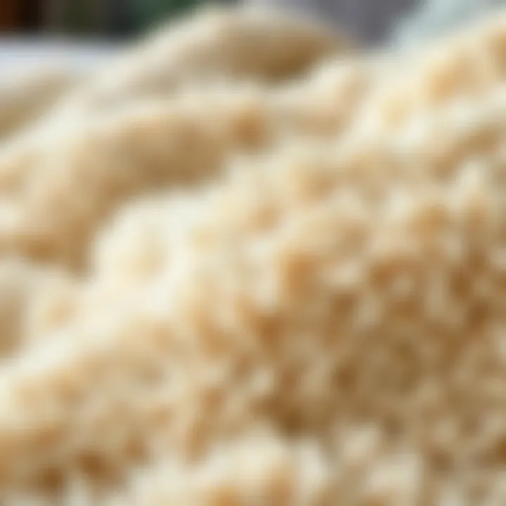 Close-Up of Soft Texture of Shaggy Duvet Cover Close-up of the soft texture of a shaggy duvet cover