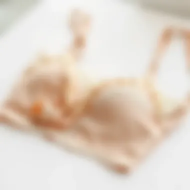 Eco-Friendly Lingerie Materials Eco-friendly materials used in contemporary lingerie collections