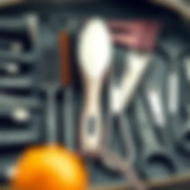 Essential Hair Styling Tools Professional hair styling tools organized neatly