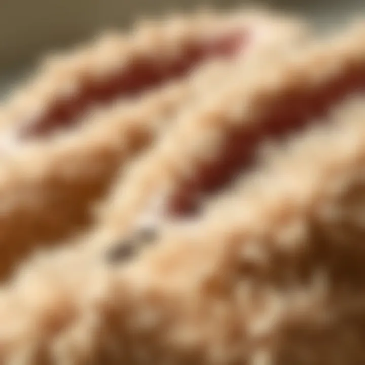 Close-up of Bearpaw slipper materials emphasizing softness