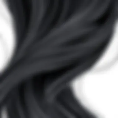 Intricate Color Gradient of Black Ombre Wig Close-up of black ombre wig strands showing color gradient