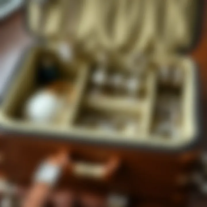 Optimal Storage Solutions in Jewelry Totes Organized compartments within a jewelry tote for optimal storage