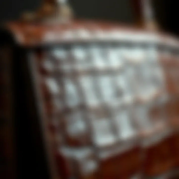 Craftsmanship and Texture Close-up of the texture and craftsmanship of a mini crocodile bag