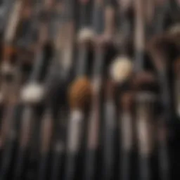 A variety of makeup brushes arranged aesthetically