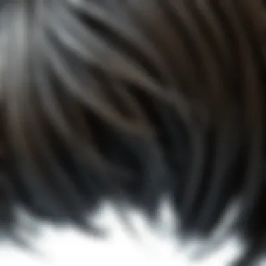 A close-up view of the texture and layering of 3D clip-in bangs