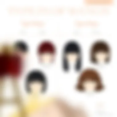 Comparison chart of various types of bangs including 3D clip-in bangs