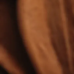 Close-up of corduroy fabric texture